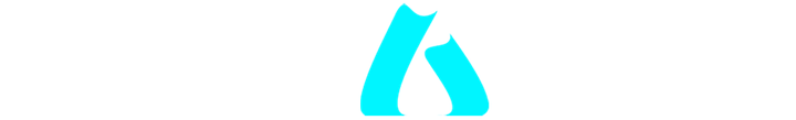 NexaFix